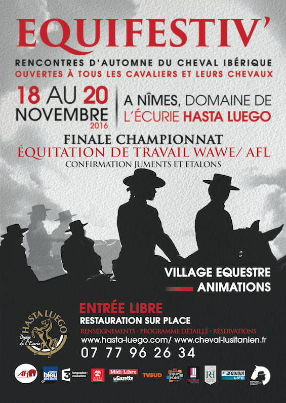 equifestiv 2016