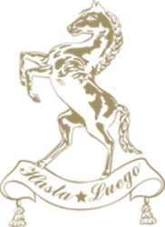 Logo Domaine Hasta Luego OR