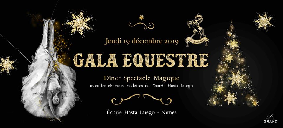 diner-spectacle-soirée-fin d'année 2019