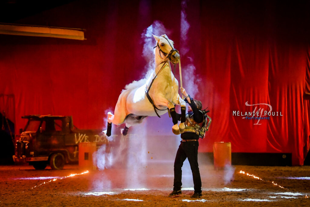 Spectacle équestre été Cabriole - Domaine Hasta Luego Nimes