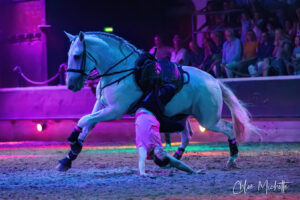 Spectacle estival Liviu Bococi - Hasta Luego Nimes