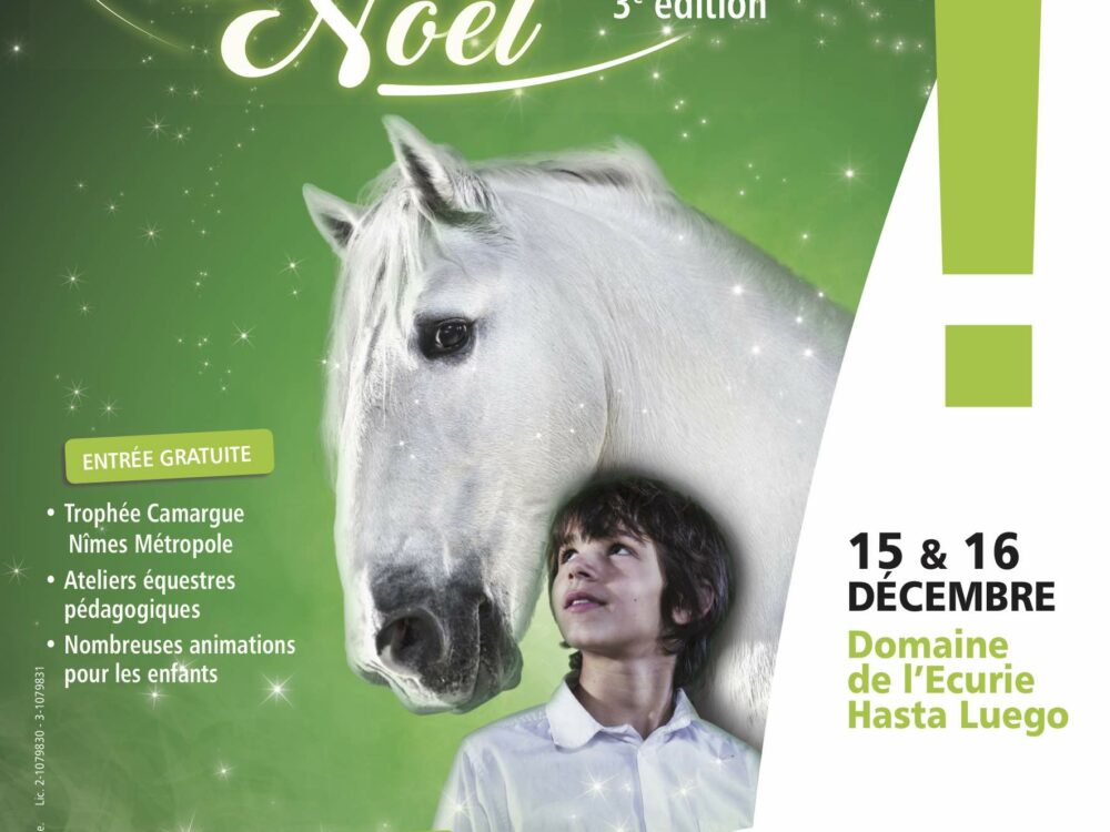 LES CRINS BLANCS DE NOEL