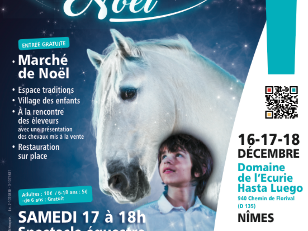 LES CRINS BLANCS DE NOEL