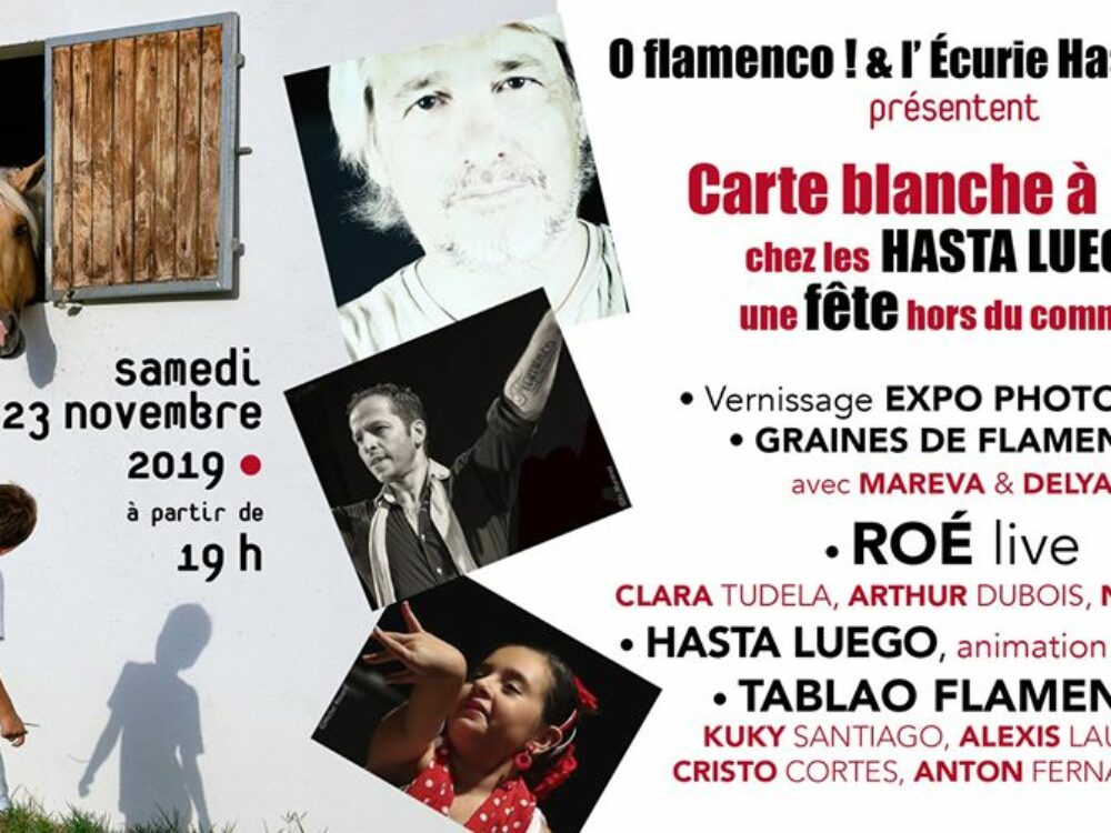 Carte-blanche-a-roe-concert-ecurie-hasta-luego