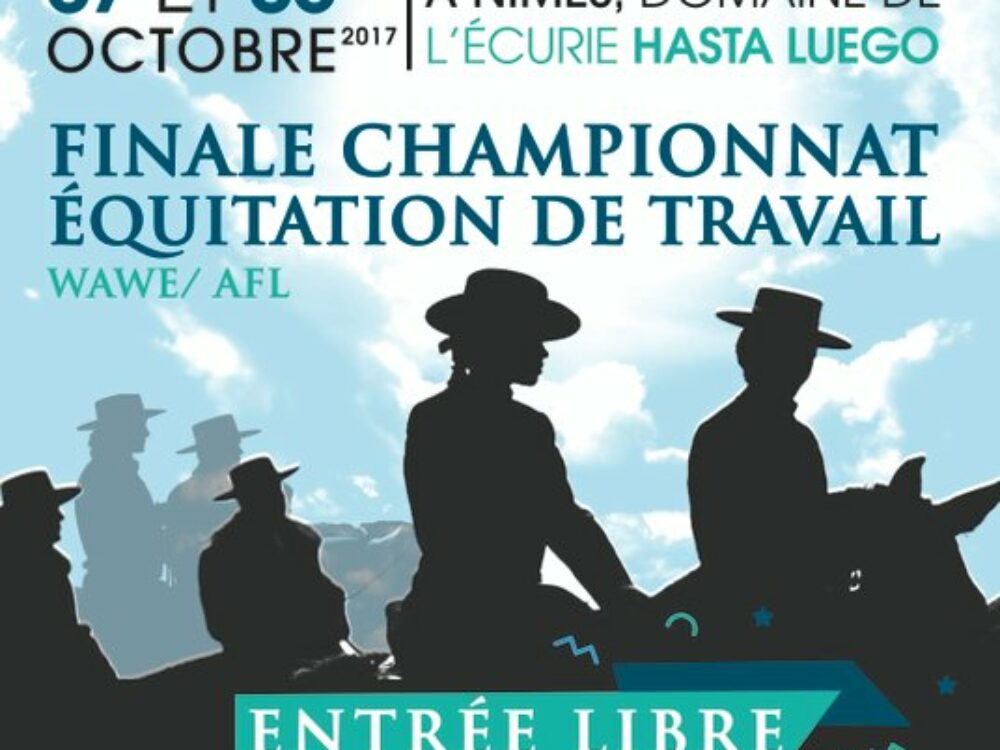 Equifestiv manifestation chevaux lusitaniens