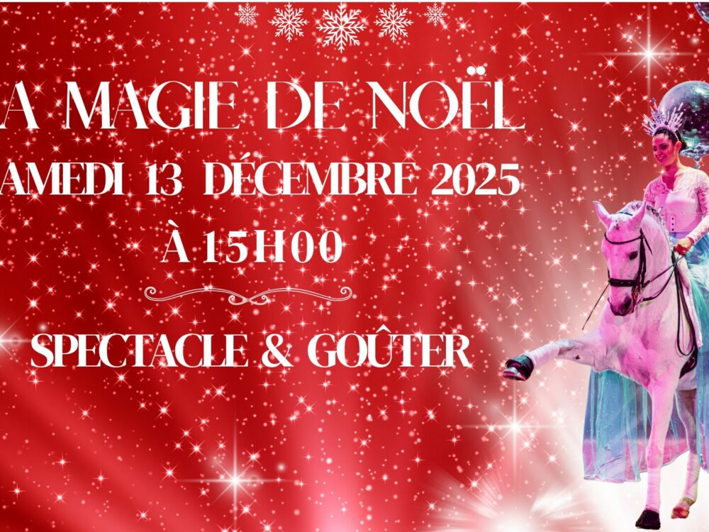 La Magie de Noël 2025 Domaine Hasta Luego