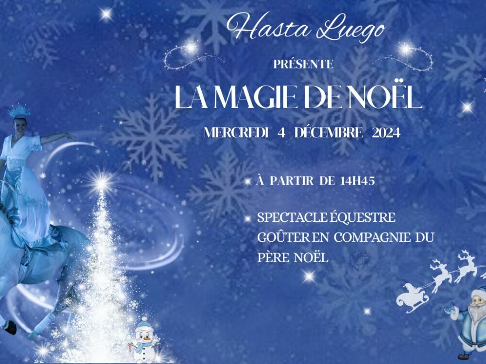 Magie Noel 2024 - Domaine Hasta Luego Nimes